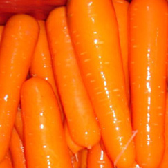  Carrot (Carotte)