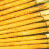  Fresh Burdock ( Fresh Burdock)
