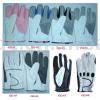  Golf Gloves ( Golf Gloves)