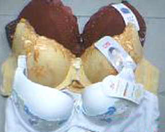  Underwear Stock ( Underwear Stock)