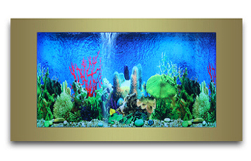  ABS Aquarium ( ABS Aquarium)