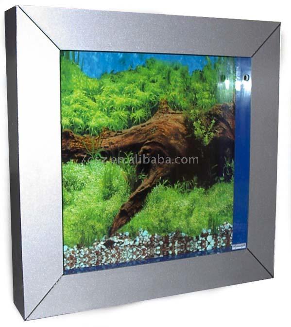  Mini Wall Aquarium ( Mini Wall Aquarium)