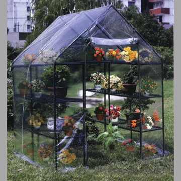  Green House (Green House)
