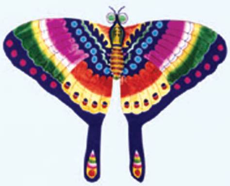  Butterfly Kite ( Butterfly Kite)