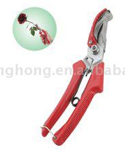 Rose Shear (Rose Shear)