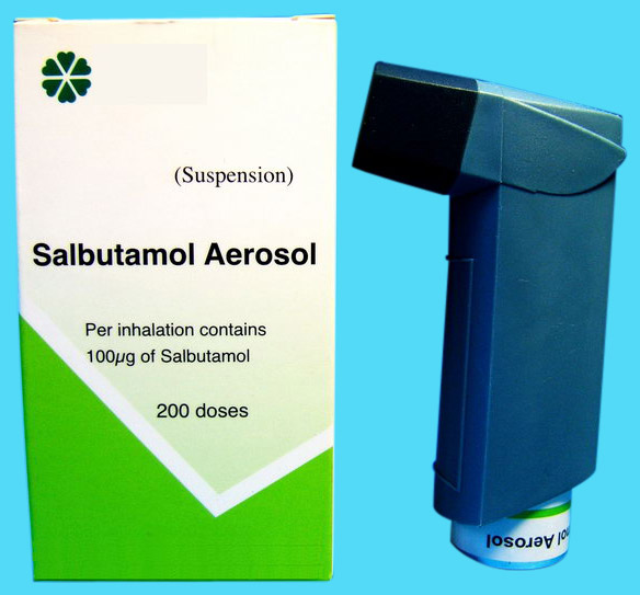  Salbutamol Inhalation Aerosol ( Salbutamol Inhalation Aerosol)
