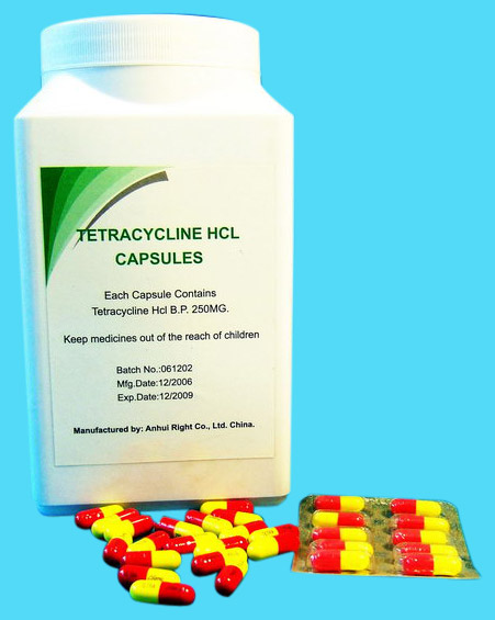  Tetracycline HCL Capsules ( Tetracycline HCL Capsules)