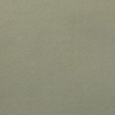  Garment Leather ( Garment Leather)