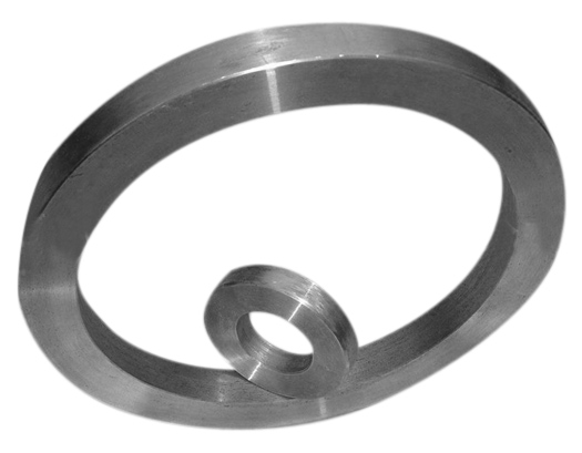  Ring Forged Parts ( Ring Forged Parts)