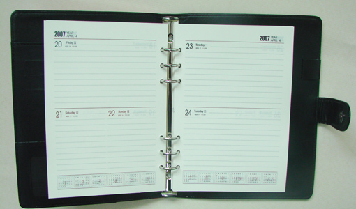  Diary (Дневник)