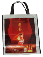  PP Non-Woven Bag (PP non tissé Sac)