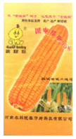  PP Woven Bag (PP Woven Bag)