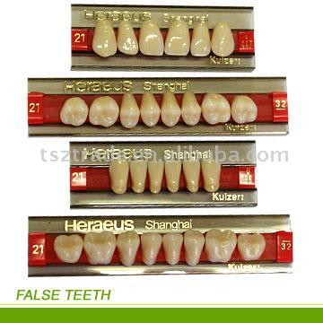  Synthetic Resin Teeth (Dents résine synthétique)