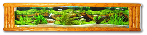  Wall Mounted Aquarium