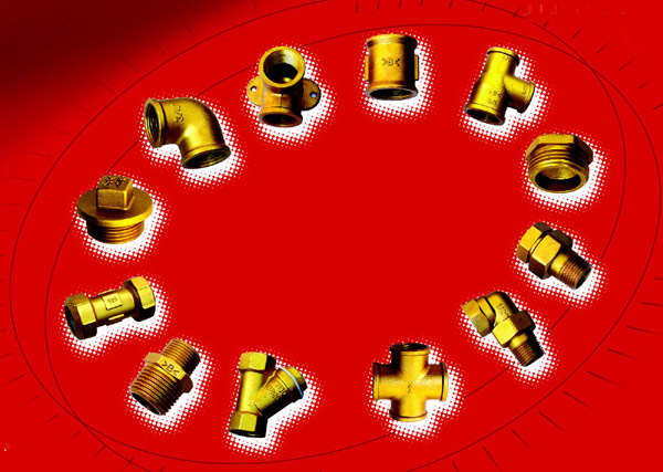  Brass Valve & Fittings ( Brass Valve & Fittings)