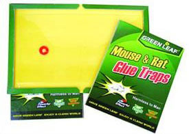  MR88010 Rat Glue Trap ( MR88010 Rat Glue Trap)