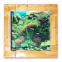  Wall Mounted Aquarium