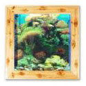  Wall Mounted Aquarium