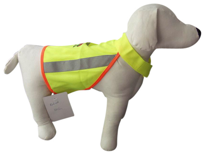  Pet Safety Clothes