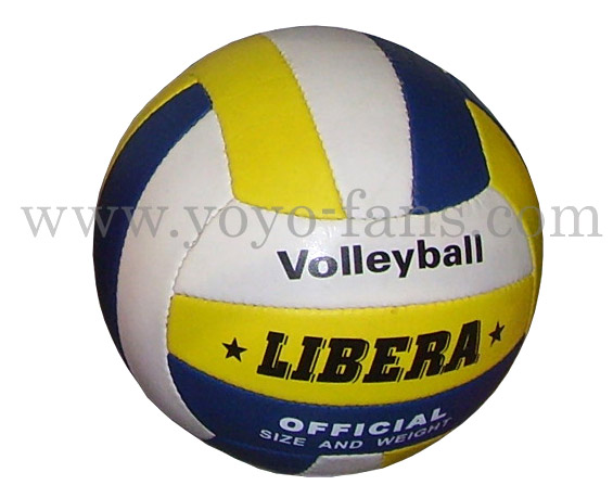  Volleyball