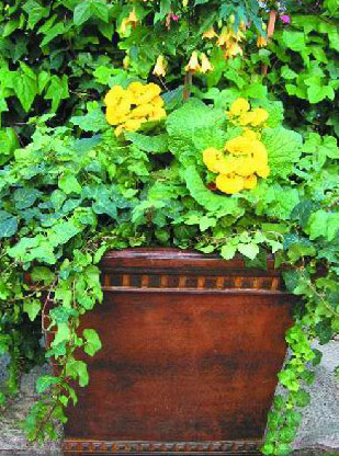 Fiberglas Pot (Fiberglas Pot)