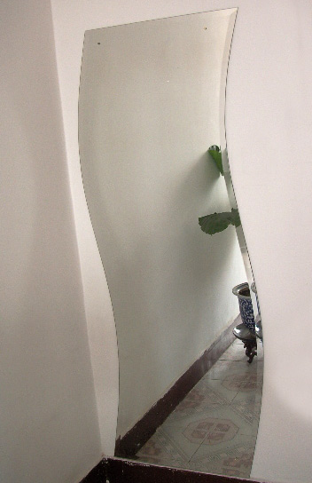  Mirror (Miroir)