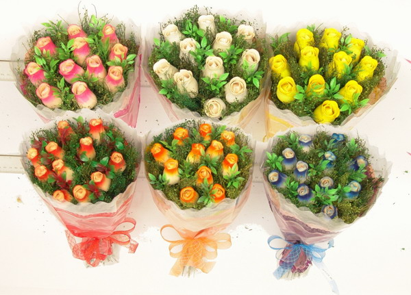  Dried Flowers