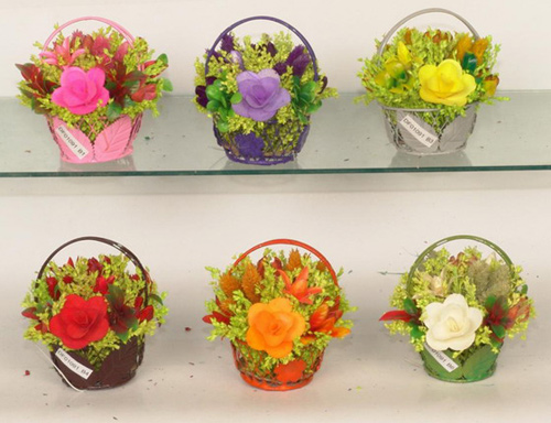  Dried Flower
