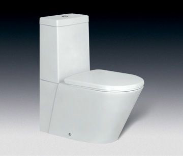  Close-Coupled Toilet (Close-Coupled WC)