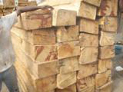  Wood (Holz)