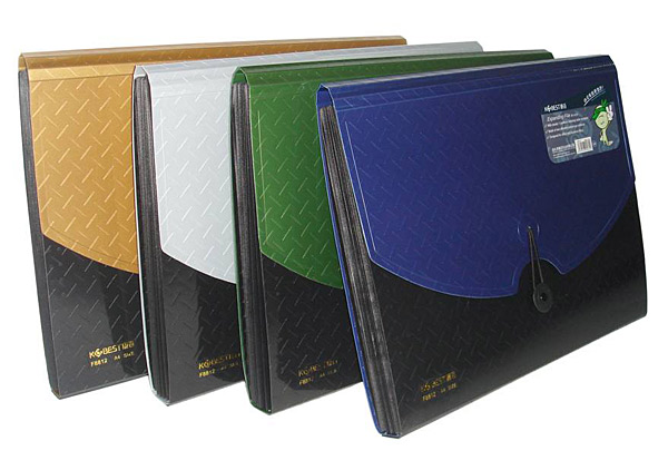  Expanding File Folder