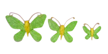  Sisal Butterfly ( Sisal Butterfly)