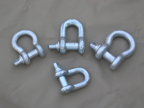  Bow Shackle (Schäkel)