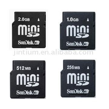  Mini SD Card ( Mini SD Card)