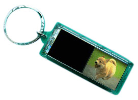 Solar Keychain (Solar Keychain)