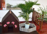 Kunststoff-Holz Pet House (Kunststoff-Holz Pet House)