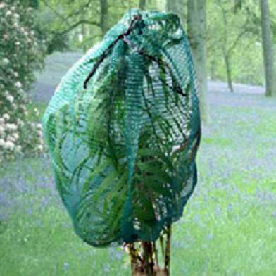  Raschel Bag