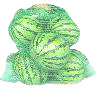  Fruit Bags ( Fruit Bags)