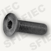  Hexagon Socket Csk Head Cap Screws (Innensechskant Csk Zylinderschrauben)