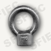  Lifting Eye Nuts / Bolts (Lifting Eye Muttern / Schrauben)