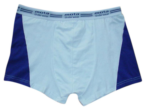  Men`s Boxers (Men`s Boxers)