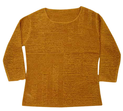  Ladies` Fashion Sweater