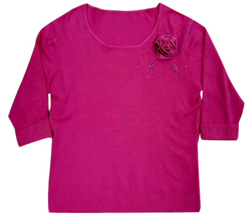  Ladies` Fashion Sweater
