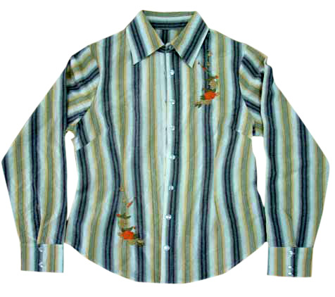  Ladies` Fashion Blouse