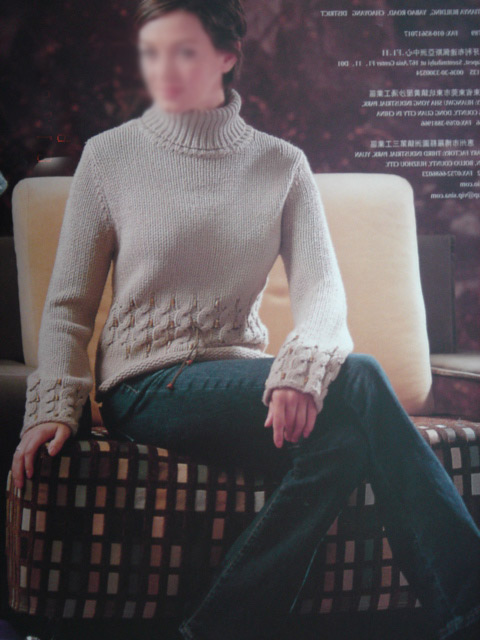  Ladies` Fashion Sweater