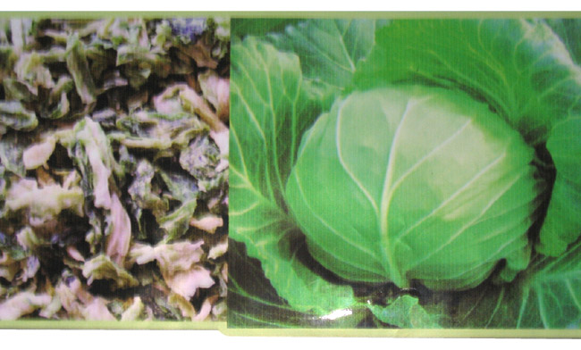  AD Cabbage (Д. капуста)