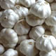  Fresh Garlic (L`ail frais)