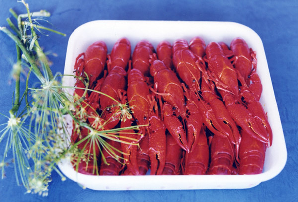  Frozen Whole Crawfish (Entiers congelés Crawfish)