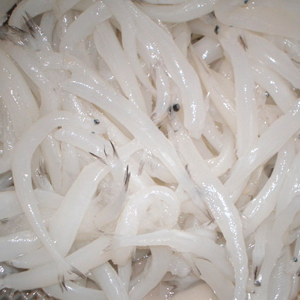  Frozen Silver Fish