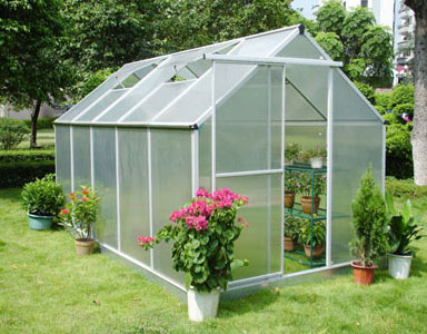  Aluminum Greenhouse